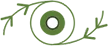 vision