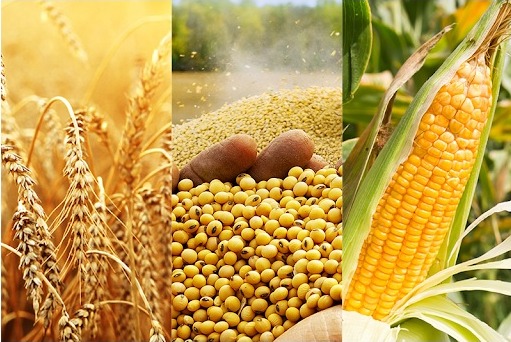 Field Crops