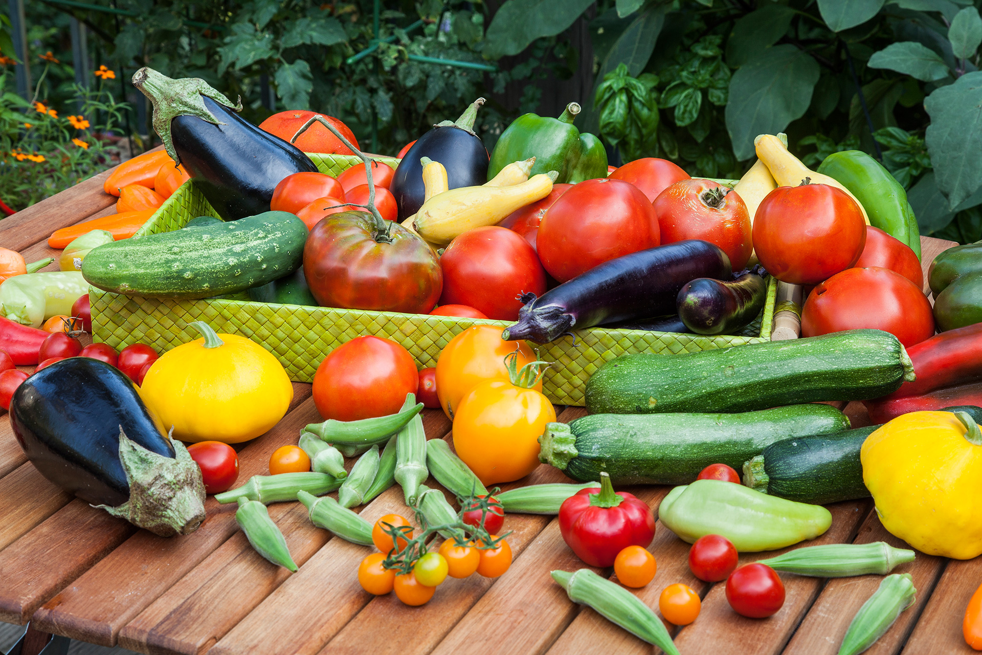 Vegetable Crop